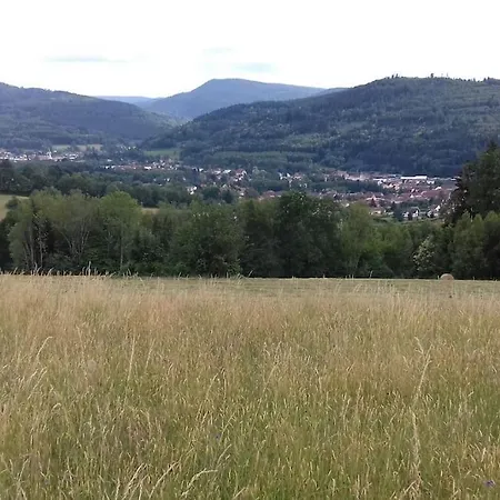Holiday home Des Seches Tournees Fraize