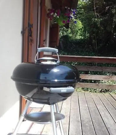 Des Seches Tournees Holiday home Fraize