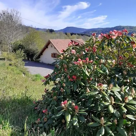 Holiday home Des Seches Tournees *